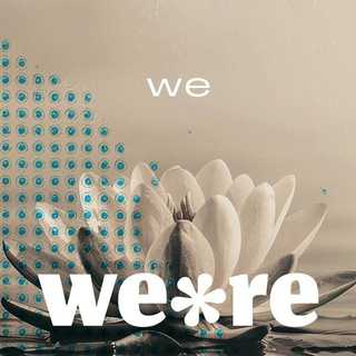 we*re   |    we reflect | we are reflections.