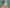 Building a Scroll-Driven 3D Cube Gallery in Webflow with GSAP