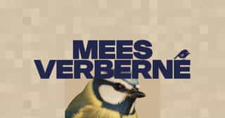 Mees Verberne - Creative Developer