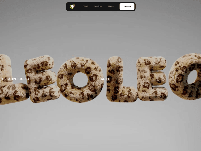 LEOLEO Studio — Brand design, identity & custom websites