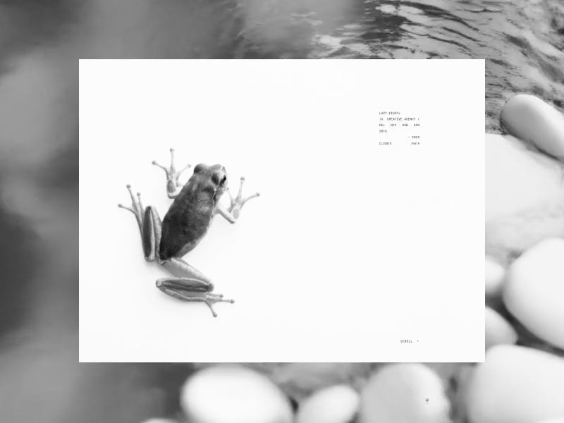 Lazy Eight®: A Creative Partner for Future Forward Brands.