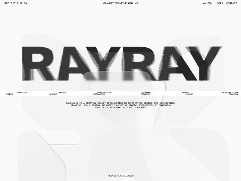 RAYRAYlab