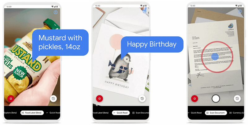 Google Lookout describing the pictures