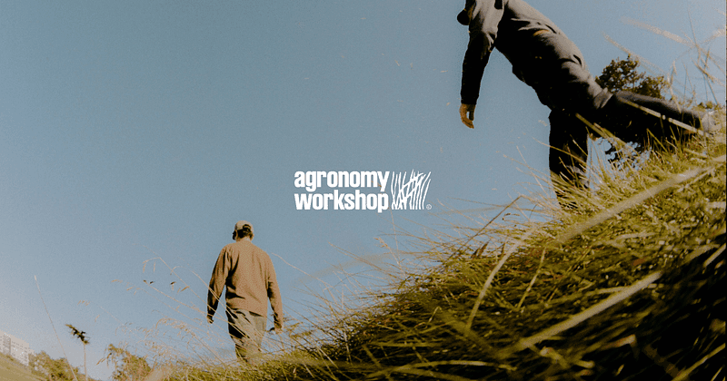 Two people walking through tall grass on a sunlit hillside with “agronomy workshop” text centered against a clear blue sky.
