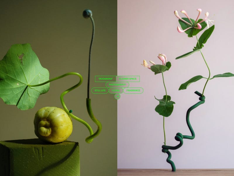 Studio Kleiner, Photography & Imagery