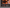 Video Editor