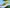Social Media Design for Agriculture Brand – Sorell