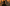 Weekly Designers Update #556