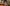 Weekly Designers Update #560