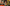 Weekly Designers Update #560