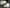 Building an Infinite GSAP Scroll Gallery with Parallax and Flip Transitions